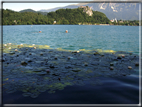 foto Lago di Bled